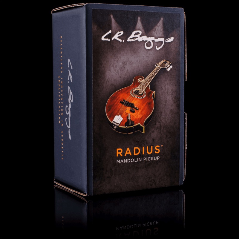 lr-baggs-radm-radius-mandolin-pickup-w-jack LR Baggs RADM Radius Mandolin Pickup w/ JACK