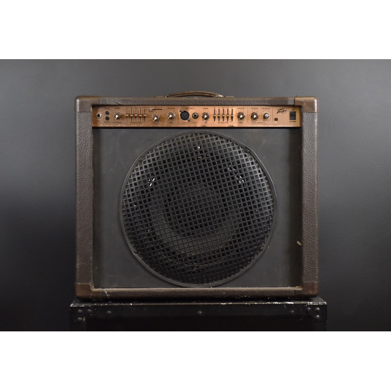 ecoustic-112-recent Ecoustic 112, Recent