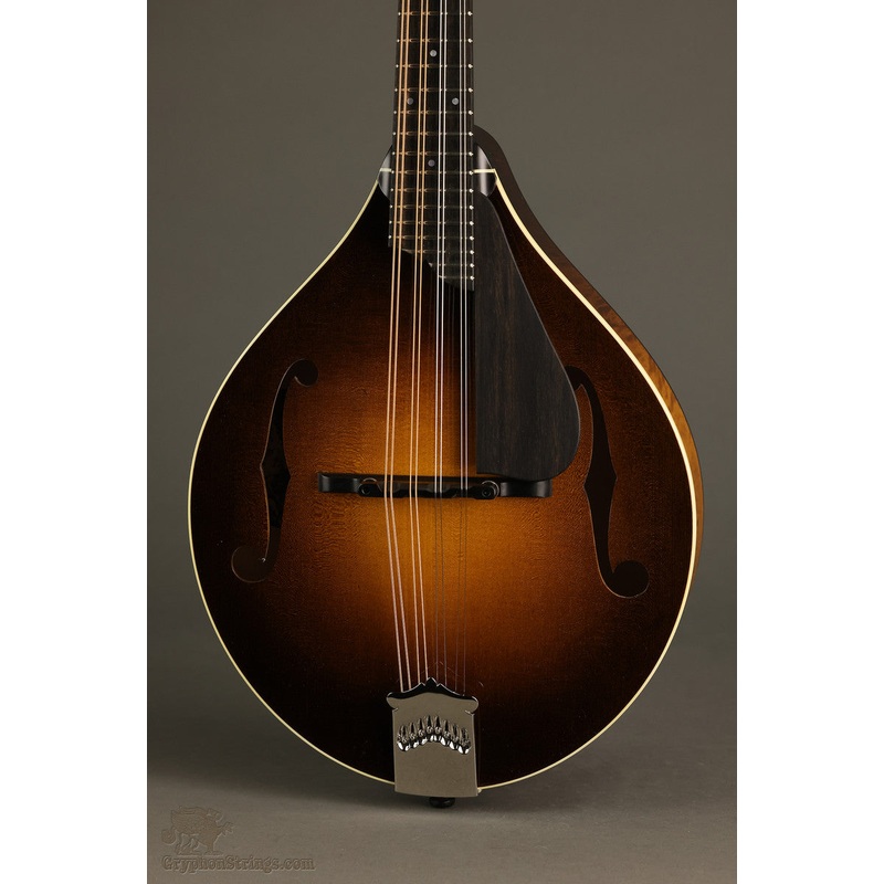 collings-mt-gloss-top-mandolin-new Collings MT Gloss Top Mandolin - New