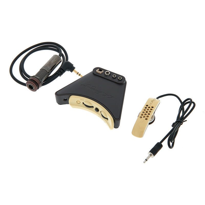 lr-baggs-anthem-mic-pickup-system-for-acoustic-guitar LR Baggs Anthem Mic/Pickup System for Acoustic Guitar