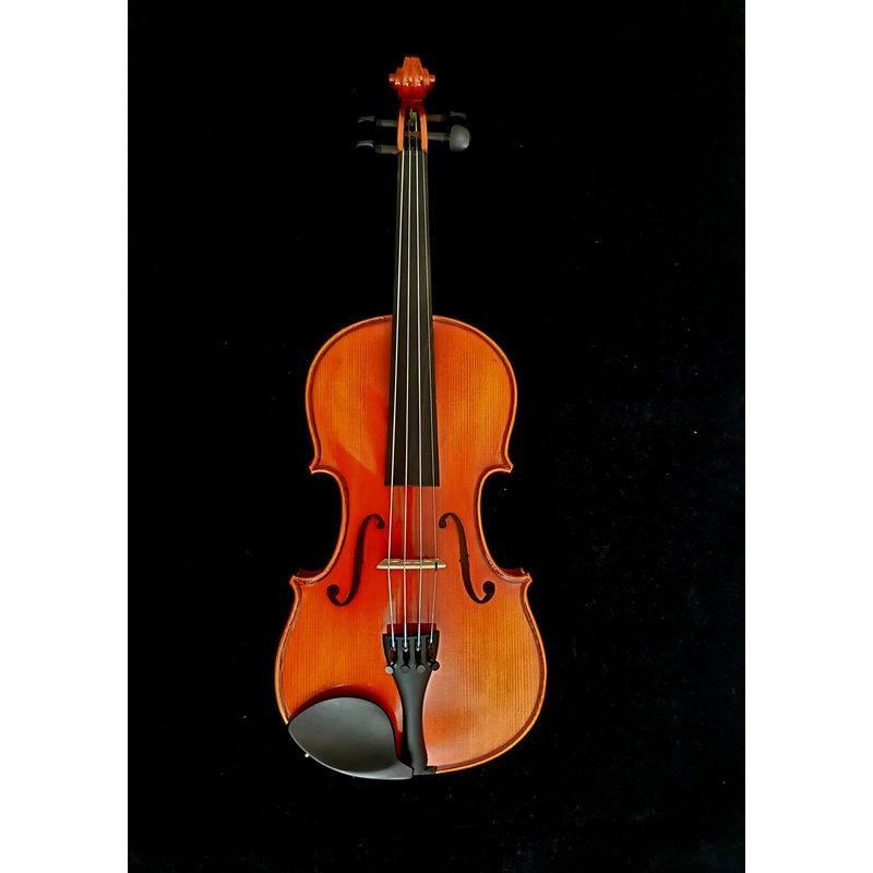 eastman-violin-outfit-vl100-sbc Eastman Violin Outfit - VL100 SBC