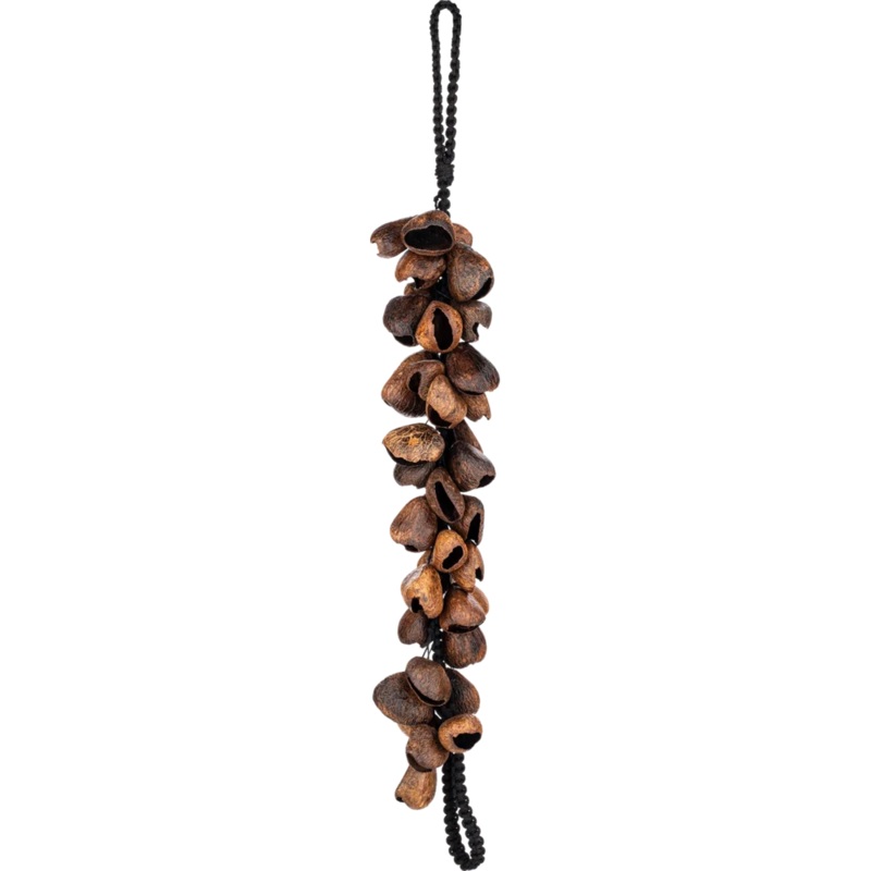 meinl-wa5-waterfall-shaker-pangi-40-seeds Meinl WA5 Waterfall Shaker - Pangi - 40 Seeds