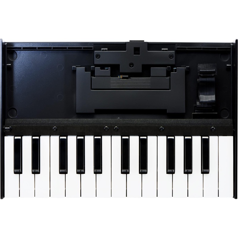 roland-boutique-k-25m-keyboard-unit-k25m Roland Boutique K-25m Keyboard Unit (K25M)