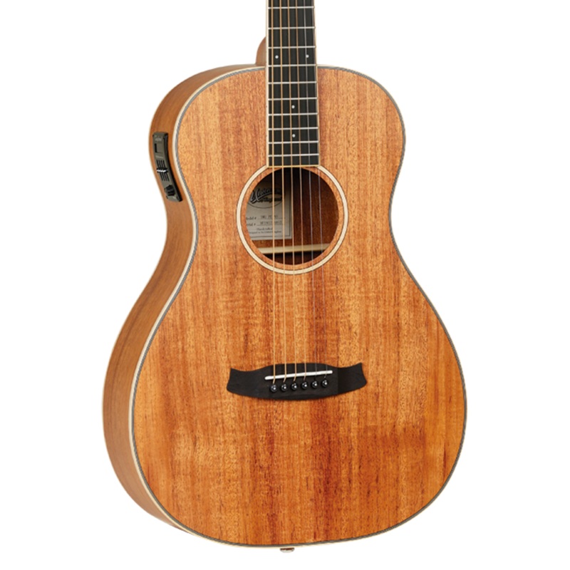 tanglewood-union-parlor-acoustic-guitar Tanglewood Union Parlor Acoustic Guitar
