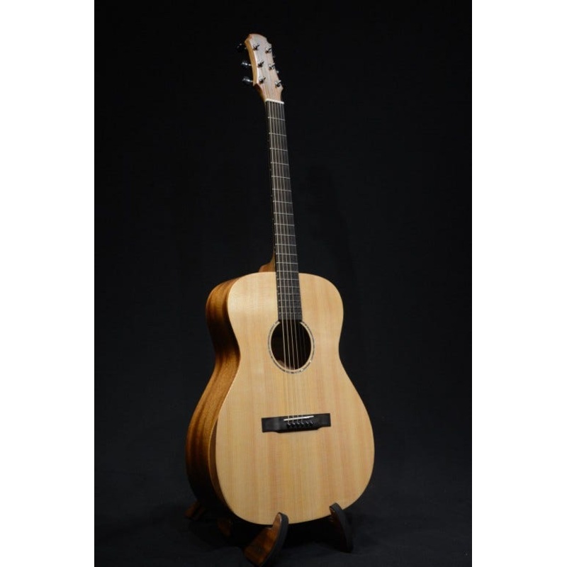 maestro-project-x-x1-vi-victoria-acoustic-guitar-w-armrest-gigbag Maestro Project X X1-VI+ Victoria Acoustic Guitar w/Armrest + Gigbag