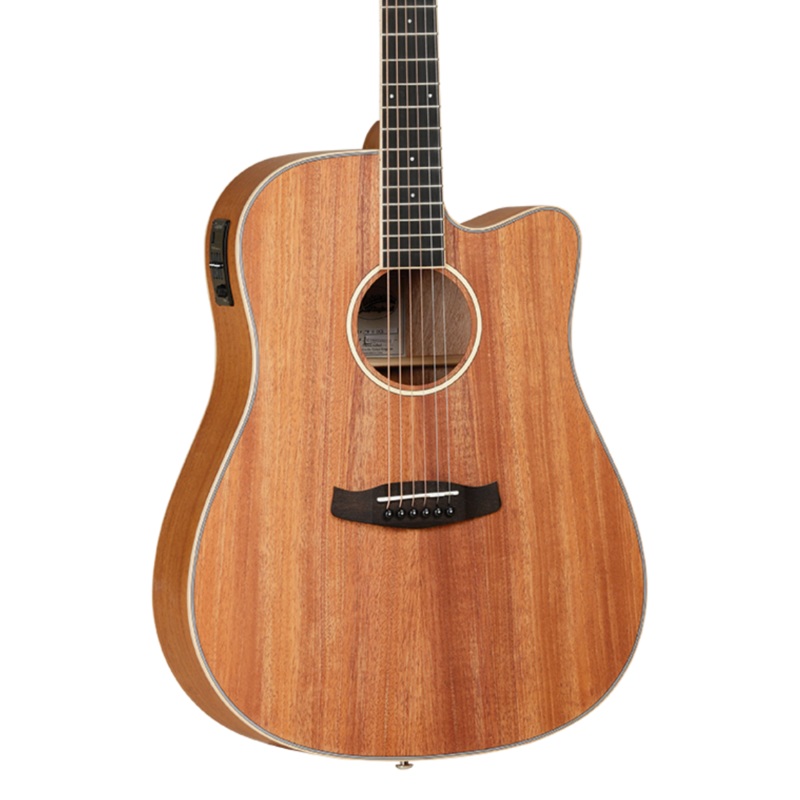tanglewood-union-dreadnought-acoustic-guitar Tanglewood Union Dreadnought Acoustic Guitar