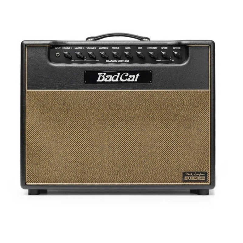 black-cat-mod-shop-black-cat-30-watt-combo-amp Black Cat Mod Shop: Black Cat 30 Watt Combo Amp